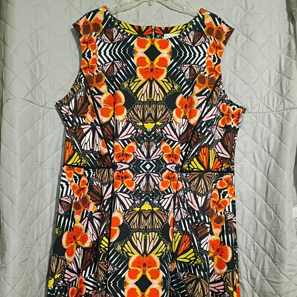 Dress Barn Monarch Butterfly Empire Waist Dress 22W
